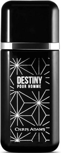 Фото духи Chris Adams Destiny