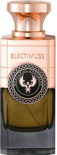 Фото духи Electimuss Mercurial Cashmere