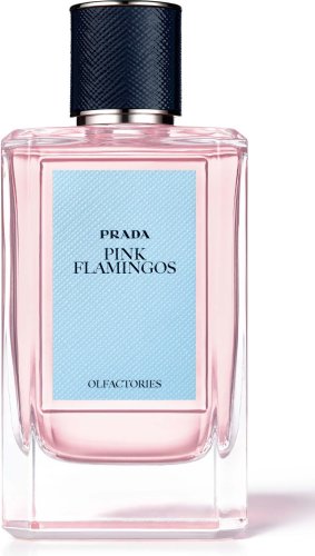 Фото духи Prada Pink Flamingos