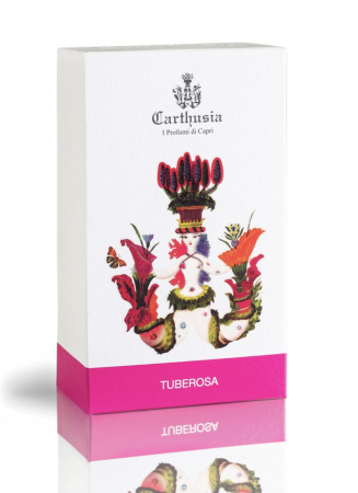 Фото духиCarthusia Tuberosa