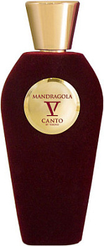 Фото духи V Canto Mandragola