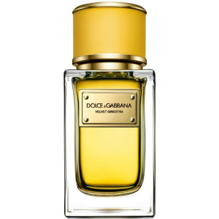 Фото духиDolce And Gabbana Velvet Ginestra