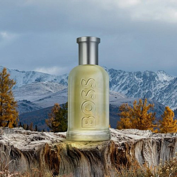 Фото духи Hugo Boss Boss Bottled