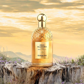 Фото духи Guerlain Aqua Allegoria Forte Bosca Vanilla