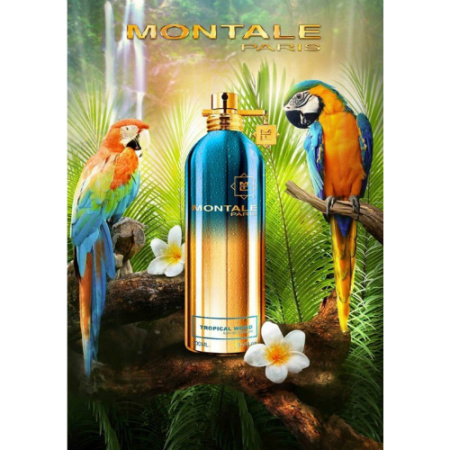 Фото духиMontale Tropical Wood