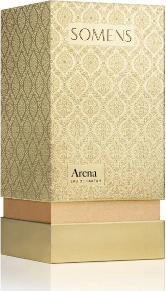 Somens Arena 100К
