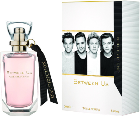 Фото духиOne Direction Between Us
