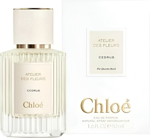 Фото духиChloe Cedrus