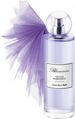 Blumarine Shine Like A Night (20-82089 туалетная вода-тестер 100 мл)