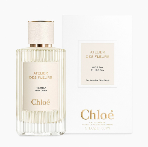 Фото духиChloe Herba Mimosa
