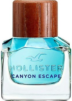 Фото духи Hollister Canyon Escape Man