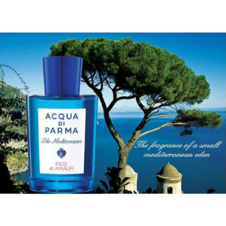 Фото духиAcqua Di Parma Blu Mediterraneo Fico Di Amalfi