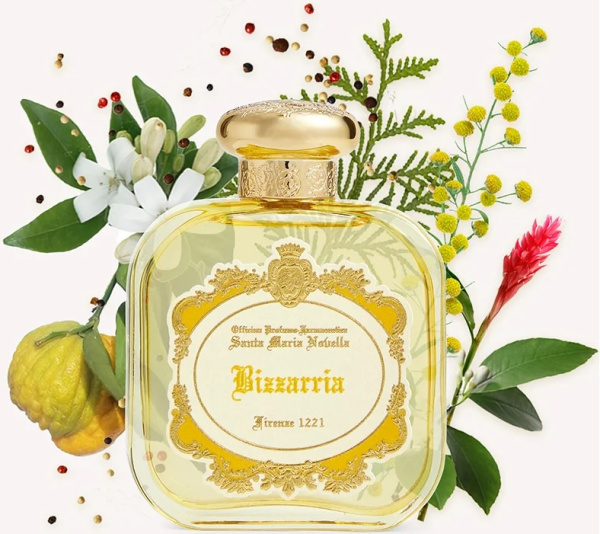 Santa Maria Novella Bizzarria картинка