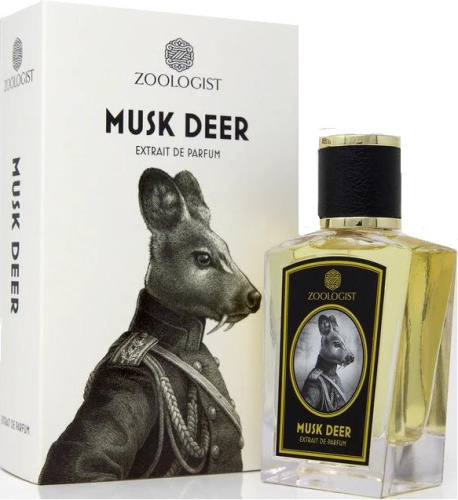Фото духиZoologist Musk Deer