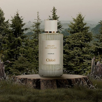 Фото духи Chloe Cedrus