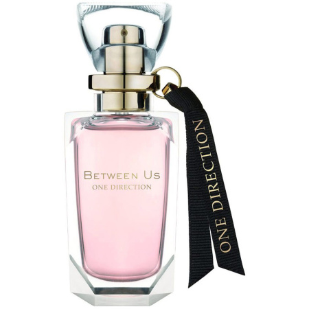 Фото духиOne Direction Between Us