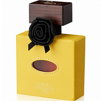 David Jourquin Cuir Solaire (20-75510 парфюмерная вода-тестер 100 мл)