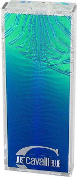Roberto Cavalli Just Cavalli Blue Him (20-02928 туалетная вода-тестер 60 мл)