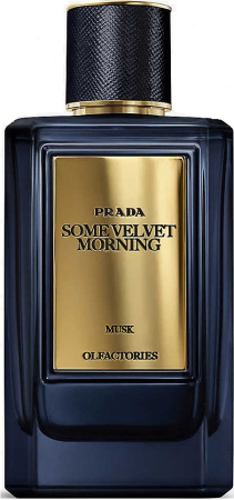some-velvet-morning-tualetnye-duhi-tester-100ml