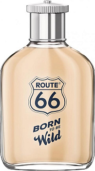 Фото духи Route 66 Born To Be Wild