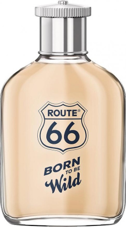 born-to-be-wild-tualetnaya-voda-tester-100ml