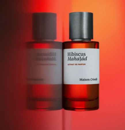Maison Crivelli Hibiscus Mahajadi 5