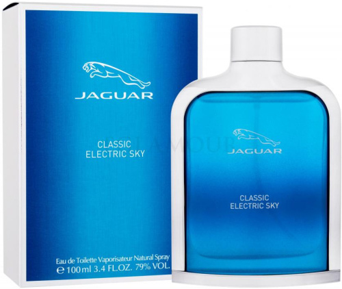 Фото духиJaguar Classic Electric Sky