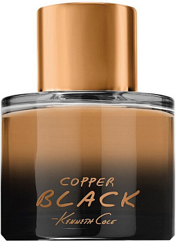 Фото духи Kenneth Cole Copper Black