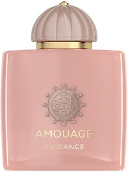 Amouage Guidance (20-51629 парфюмерная вода-тестер 100 мл)