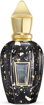Фото духи Xerjoff Homme Anniversary