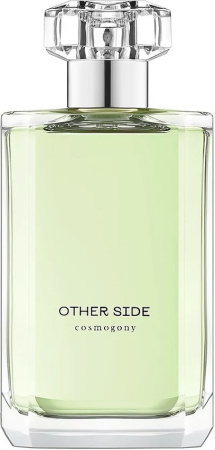 other-side-tualetnye-duhi-tester-100ml