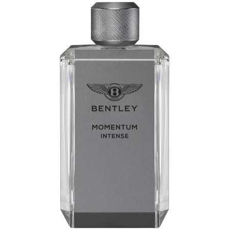 Фото духиBentley Momentum Intense