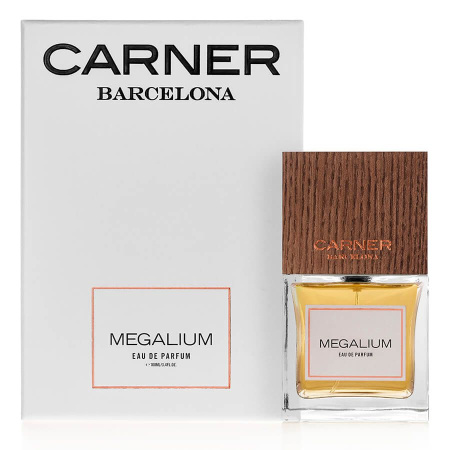 Фото духиCarner Barcelona Megalium