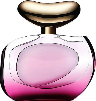 Фото духи Vince Camuto Illuminare Intensa