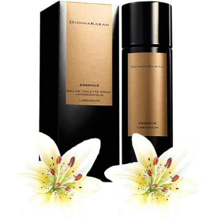 Фото духиDonna Karan Essence Labdanum