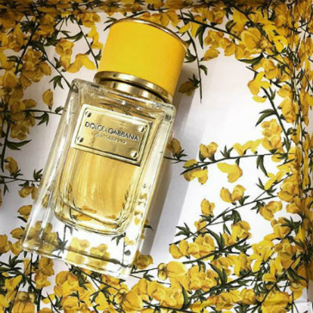 Фото духиDolce And Gabbana Velvet Ginestra