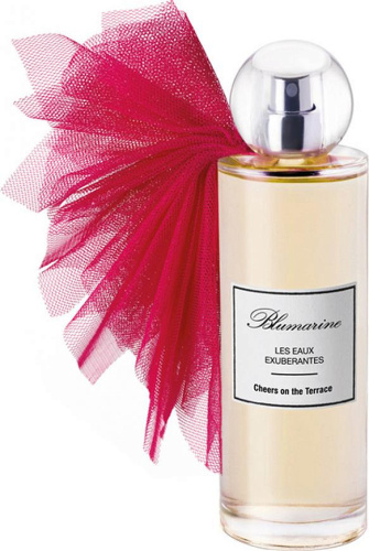 Blumarine Cheers On The Terrace (20-37517 туалетная вода-тестер 100 мл)