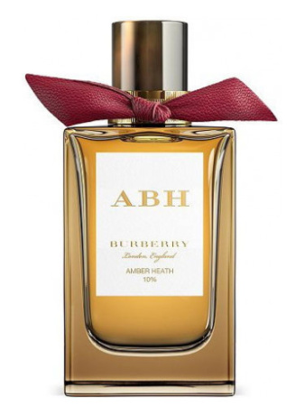 Фото духиBurberry Amber Heath