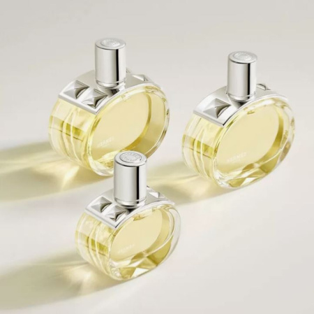 Фото духиHermes Barenia