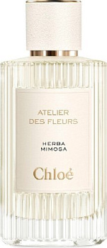 Фото духи Chloe Herba Mimosa