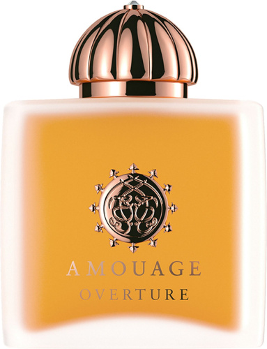Amouage Overture Women (20-87728 парфюмерная вода-тестер 100 мл)