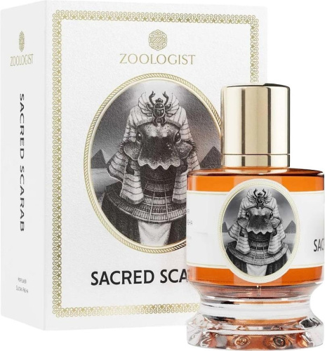 Фото духиZoologist Sacred Scarab