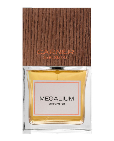 Фото духиCarner Barcelona Megalium