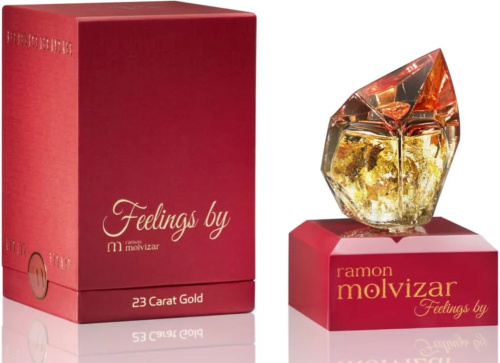 Фото духиRamon Molvizar Feelings
