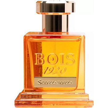 Фото духи Bois 1920 Scorzaforza