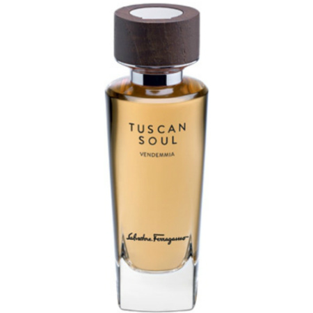 Фото духиSalvatore Ferragamo Tuscan Soul Vendemmia