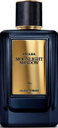 Фото духиPrada Moonlight Shadow