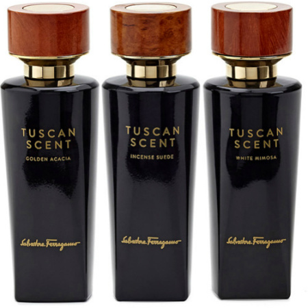 Фото духиSalvatore Ferragamo Tuscan Scent Incense Suede