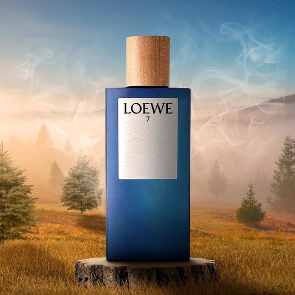 Loewe 7 картинка
