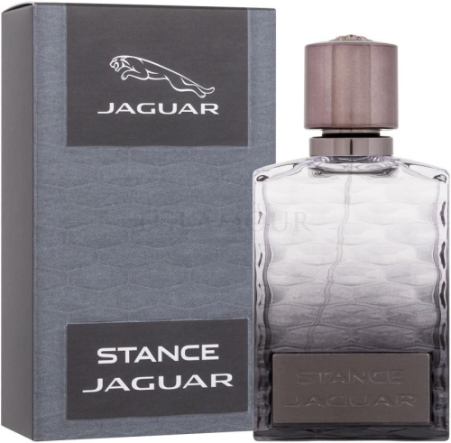 Фото духиJaguar Stance